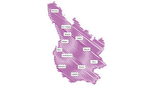 A purple map of the Caerphilly borough with place name labels